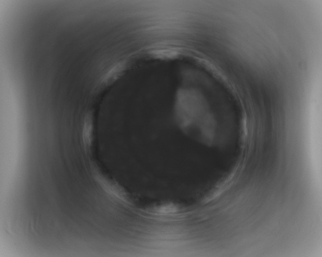 X0000114190600200910091234