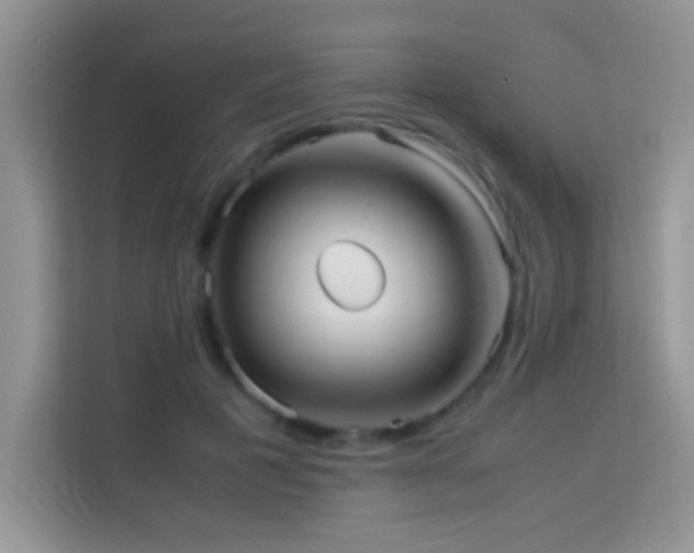 X0000114190601200910091234