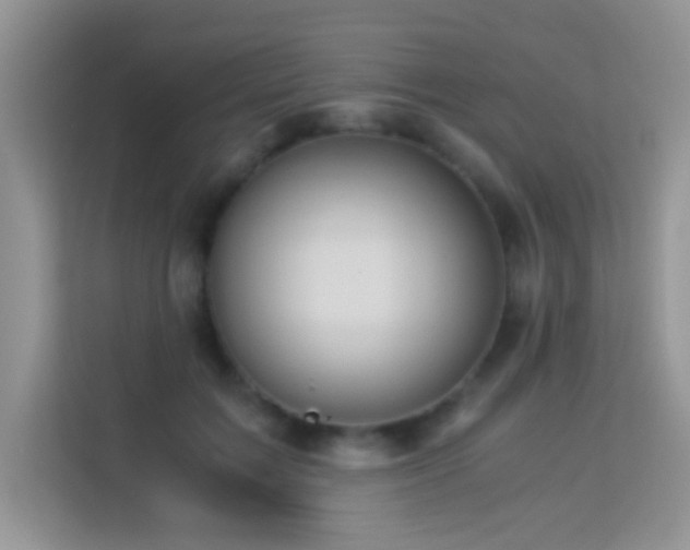 X0000114190603200910091233