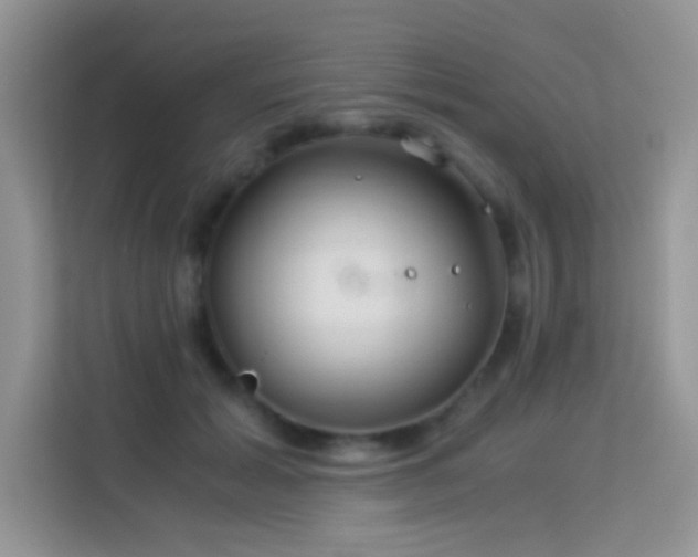 X0000114190605200910091233