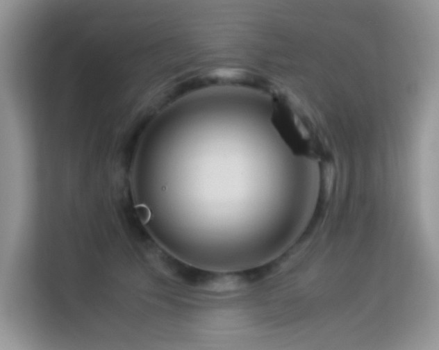 X0000114190609200910091233