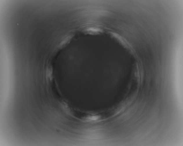 X0000114190610200910091233