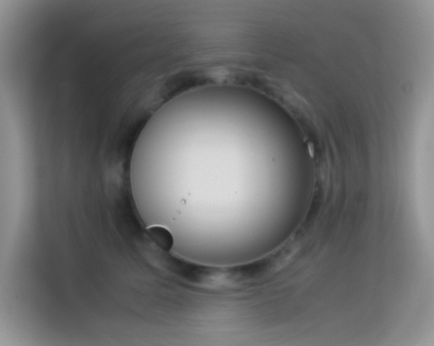 X0000114190611200910091233