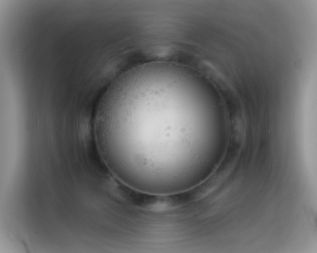 X0000114190612200910091233
