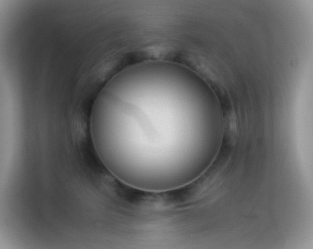 X0000114190615200910091233