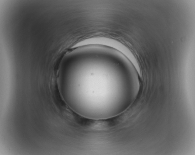 X0000114190617200910091233