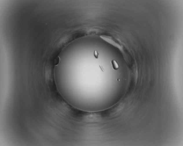 X0000114190619200910091233