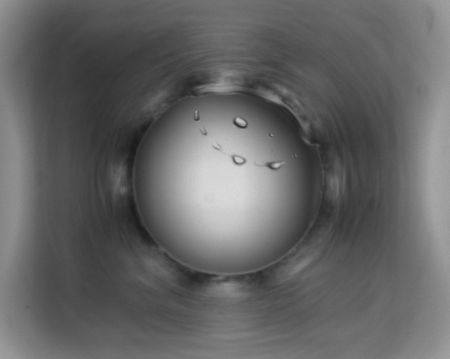 X0000114190620200910091233