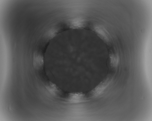 X0000114190621200910091233