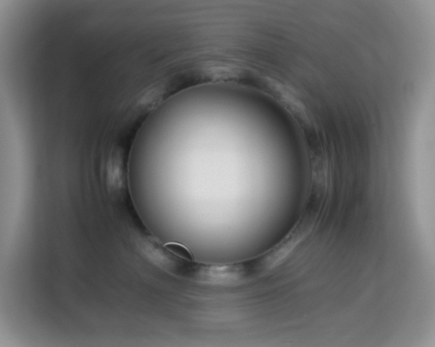 X0000114190622200910091233