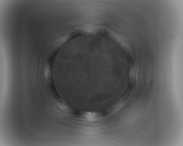 X0000114190623200910091233