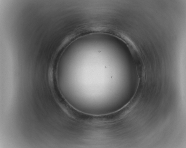 X0000114190626200910091233
