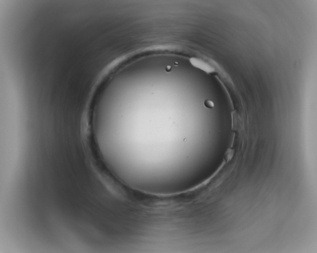 X0000114190628200910091233