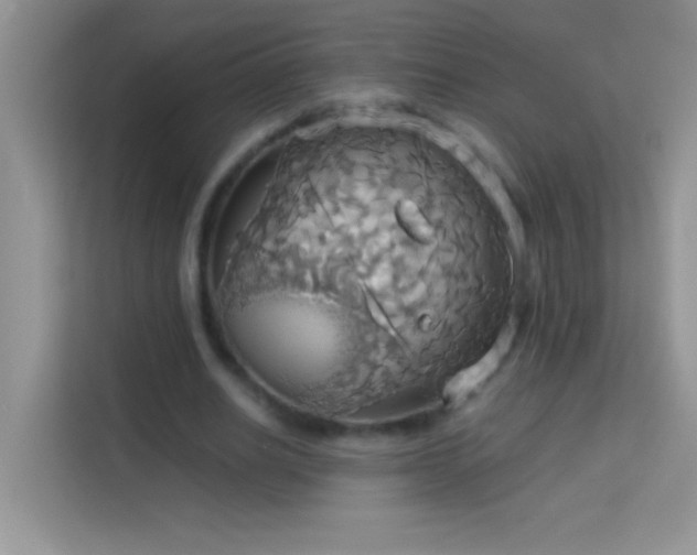 X0000114190630200910091233