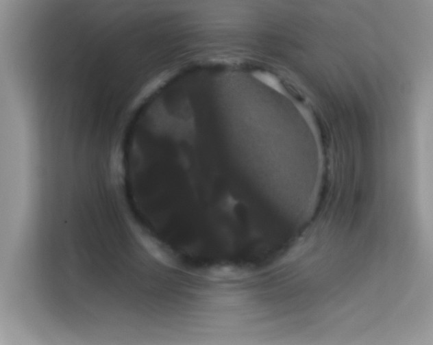 X0000114190634200910091233