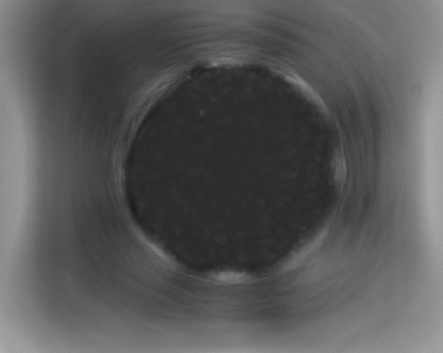 X0000114190637200910091233