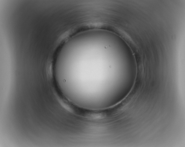 X0000114190638200910091233