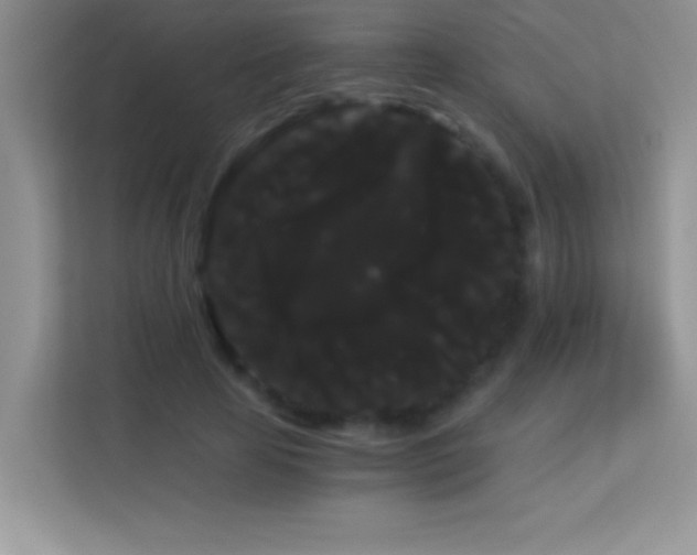 X0000114190641200910091233