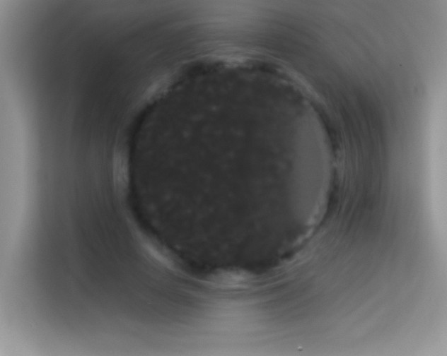 X0000114190642200910091233