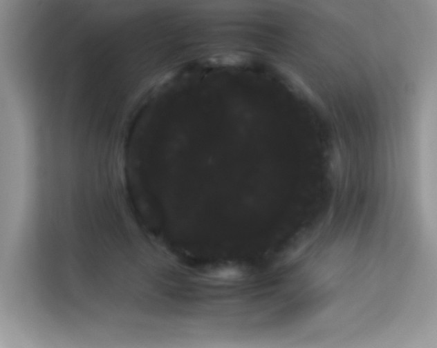 X0000114190643200910091233