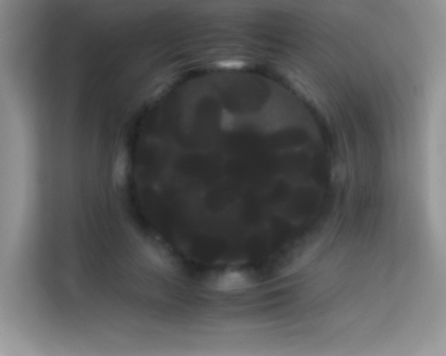 X0000114190647200910091233