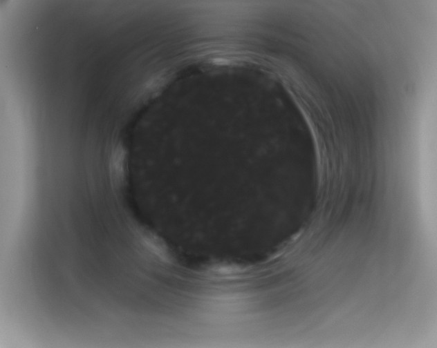 X0000114190650200910091233
