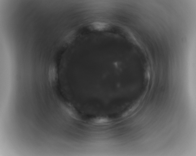 X0000114190651200910091233