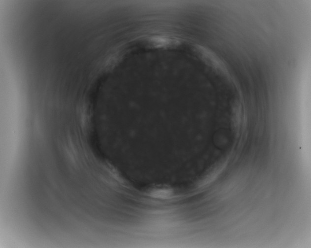 X0000114190653200910091233