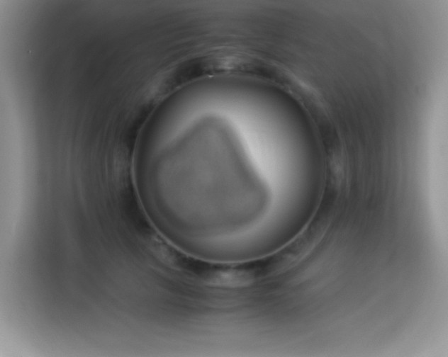 X0000114190657200910091233