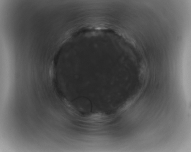 X0000114190659200910091233
