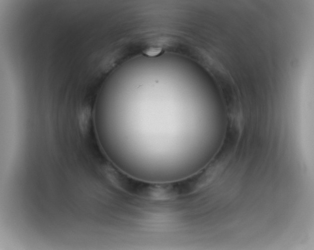 X0000114190660200910091233