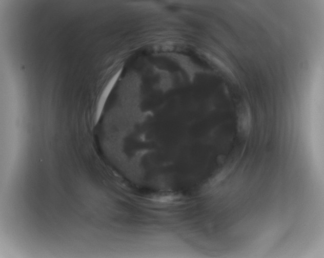X0000114190661200910091233