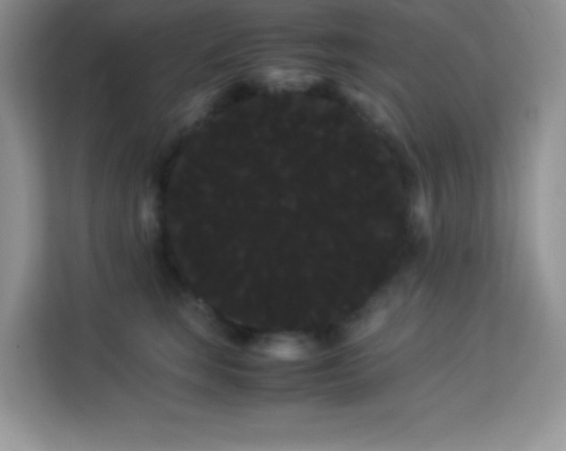 X0000114190663200910091233