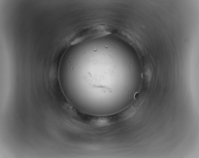 X0000114190665200910091233
