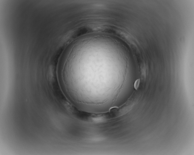 X0000114190667200910091233