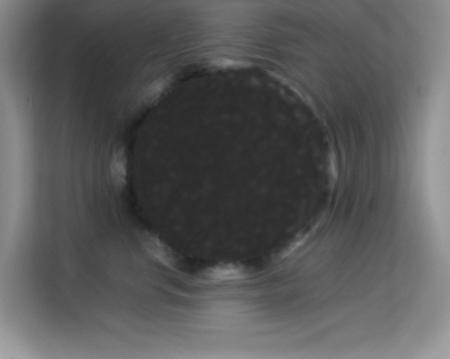 X0000114190668200910091233