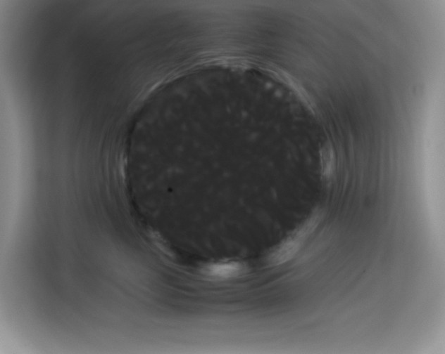 X0000114190669200910091233