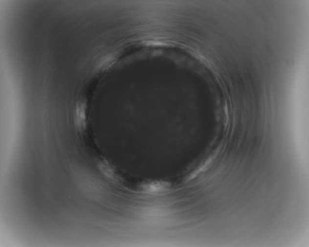 X0000114190670200910091233