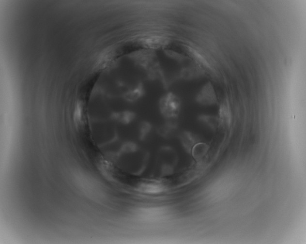 X0000114190671200910091233
