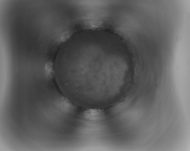 X0000114190672200910091233