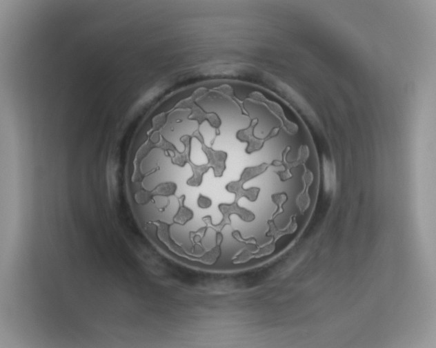 X0000114190675200910091233