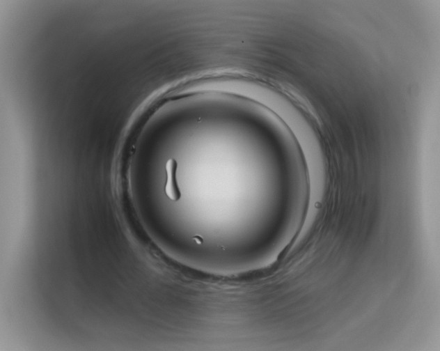X0000114190676200910091233