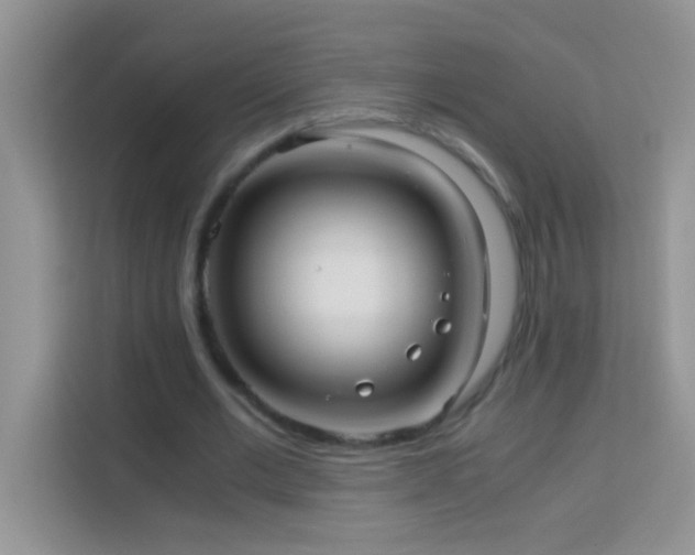 X0000114190677200910091233