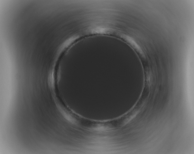 X0000114190678200910091233