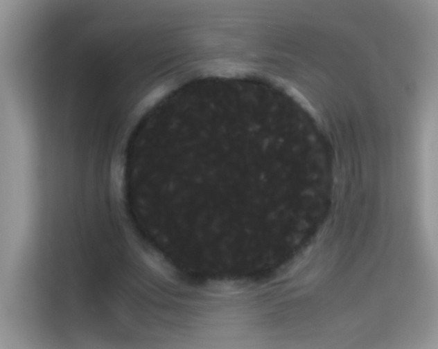 X0000114190679200910091233