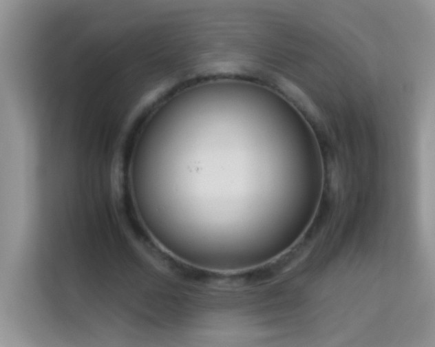 X0000114190680200910091233