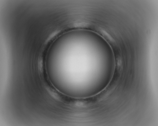 X0000114190684200910091232