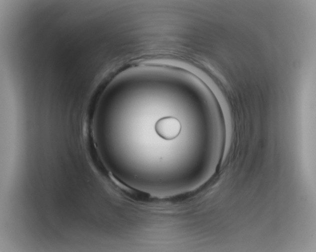 X0000114190685200910091232
