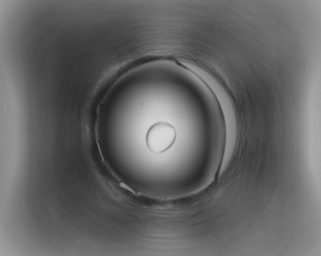 X0000114190688200910091232
