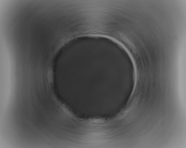 X0000114190689200910091232